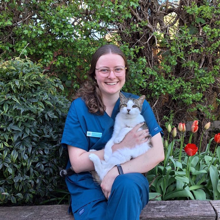 Dr Rebecca Woodall