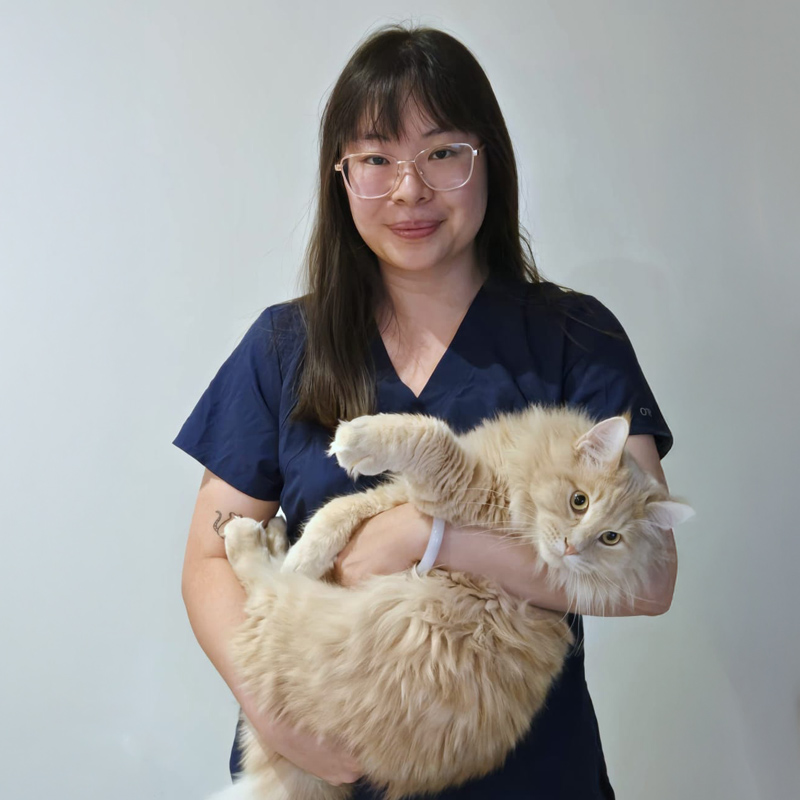 Dr Ring Cheung